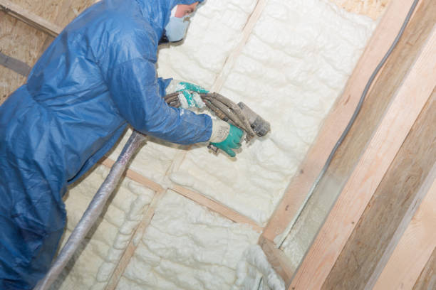 Best Insulation Air Sealing  in Grant, MI